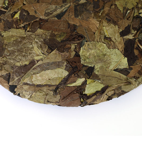 Year 300g Fuding Remote Mountain Wild Spring Leaf Slice Aged Cake White Tea