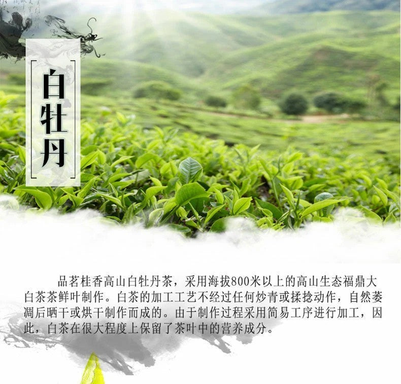 CIFbuy 500g Premium Organic Bai Mu Dan White Peony White Tea Spring Tea Loose Leaf Tea