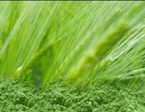 Barley Grass Powder Certified Organic 3kg Green Alkalising Vegan