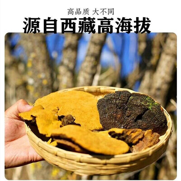 Tibetan wild mulberry ganoderma lucidum 100g