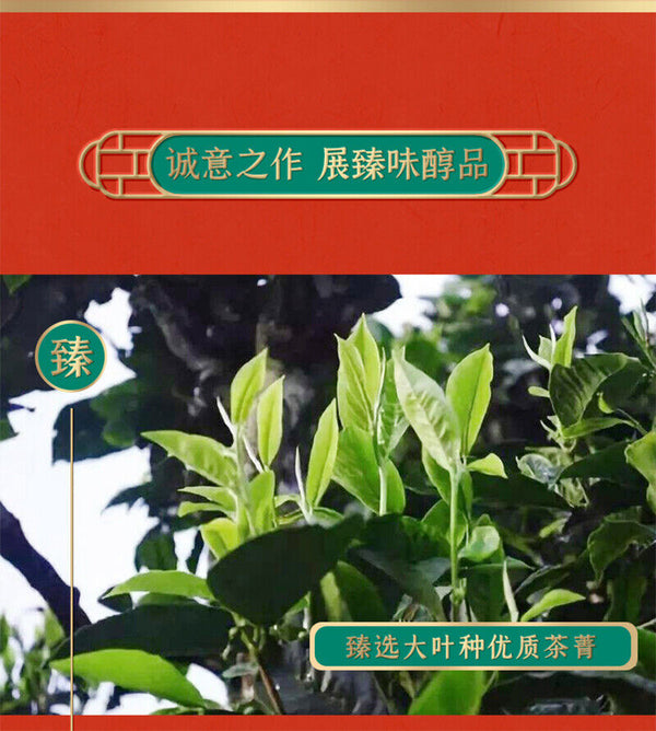 Zhongcha Jinhao Yulian CHINATEA Golden Lotus Palace Puer Pu'er Tea 357g