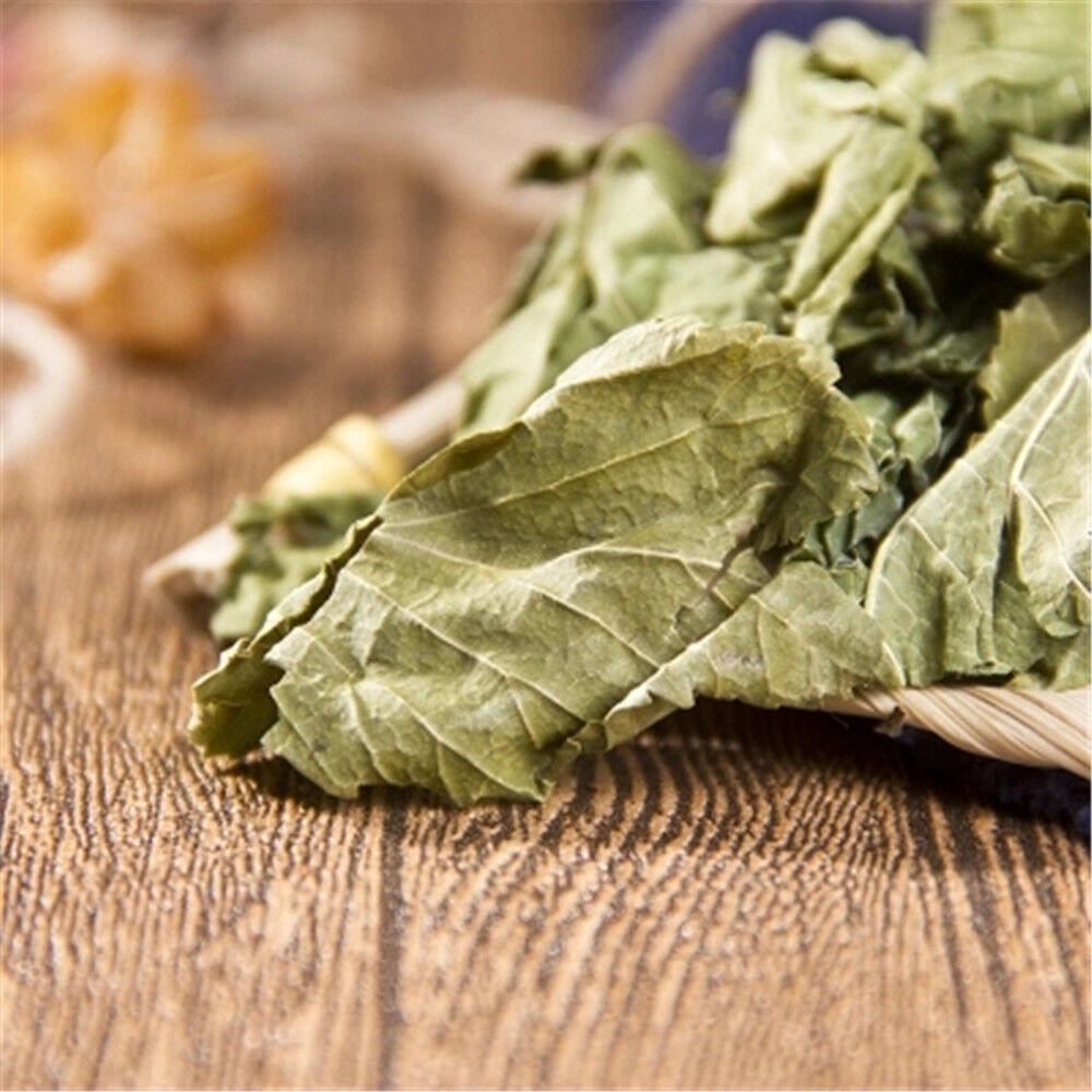 100% Natural Medicinal Chinese Herbs, Mulberry Loose Leaf, Dried Loose Leaf