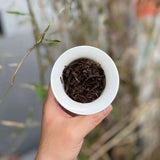 357g Yunnan Raw Pu-erh Old Tea Cake Jiangcheng Puerh Tea Aged Pu'er Raw Tea
