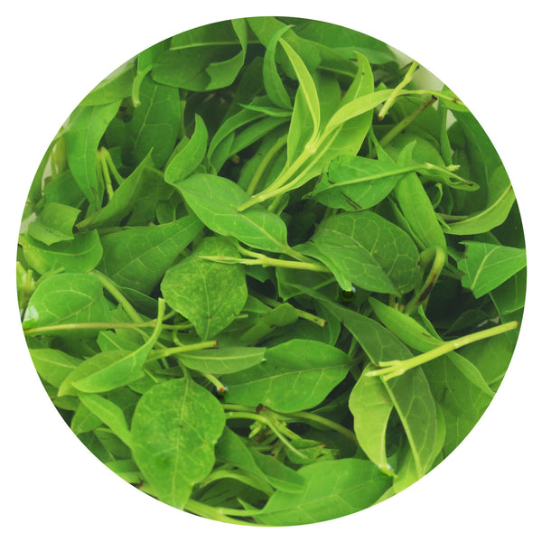 HELLOYOUNG 100g Supreme Kuding Bitter Herb Green Tea Qingshan Lushui Small-leaf