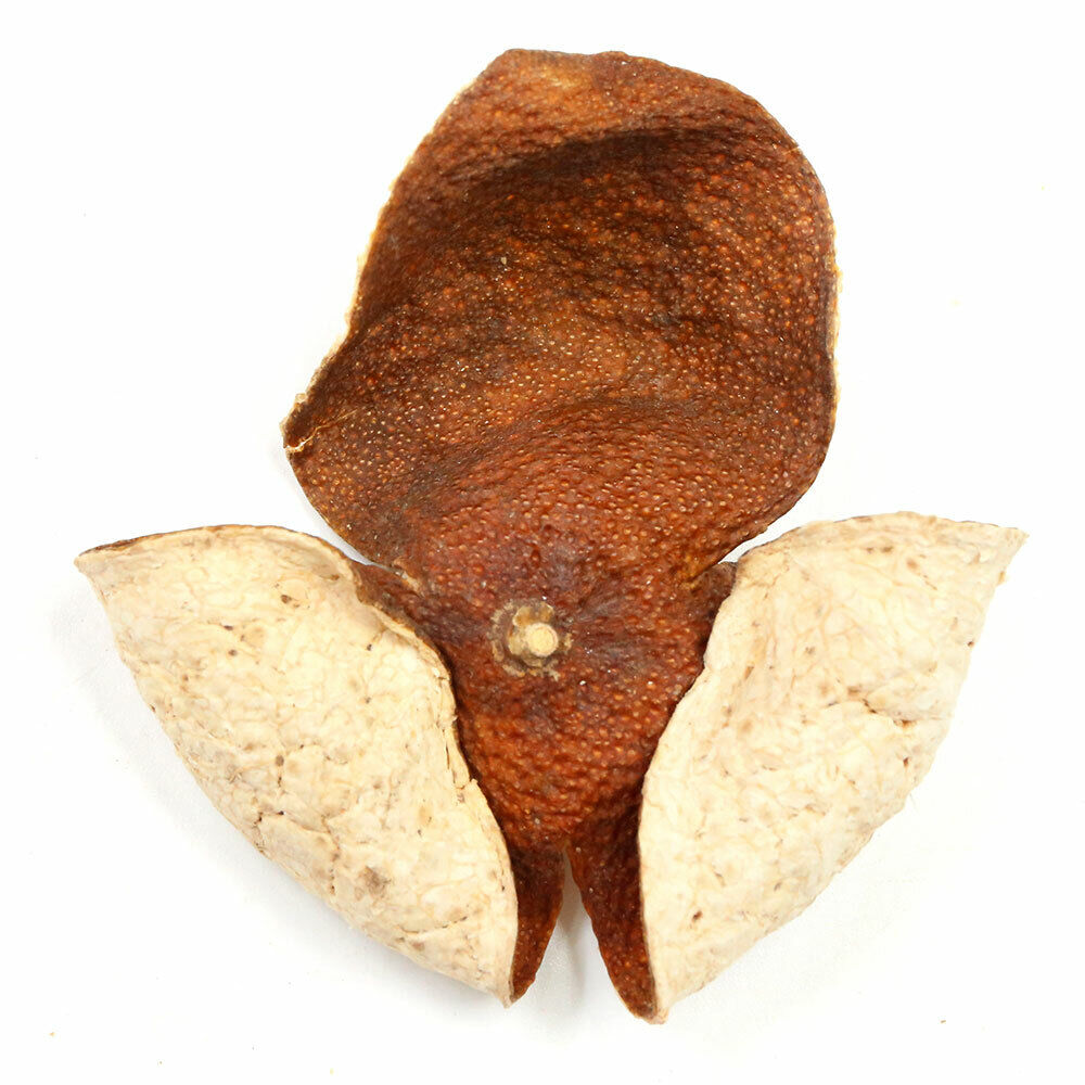 XinHui "Chen Pi" TianMa Producing Area Green Dried Tangerine Peel Tea 50g Secondary image