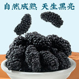 100g~500g Dried Mulberry Fruit Snacks Chinese Snack Succade Sangshen 桑葚干