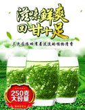 Ming Qian Premium Xinyang Maojian Tea Xin Yang Tea Mao Jian Green Tea 250g Tin