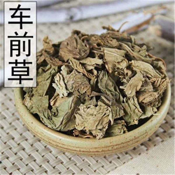 250g 100% Natural Medicinal Top Chinese Dried Plantain Herb - Che Qian Cao 车前草