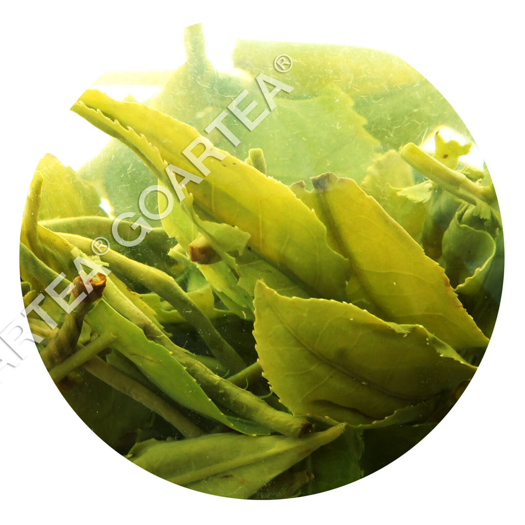 HELLOYOUNG 250g Supreme Suzhou Biluochun Green Tea Spring Chinese Pi lo Chun