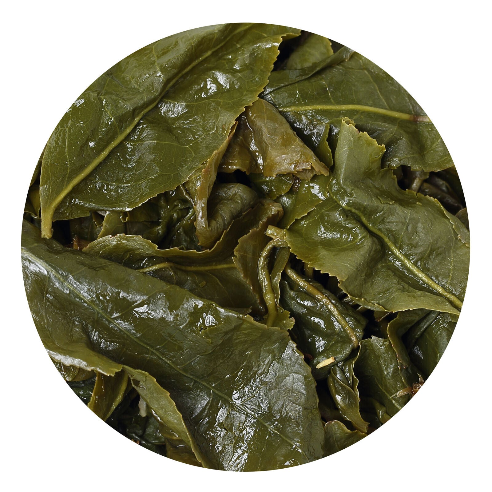 HELLOYOUNG Premium Taiwan Milk Oolong Tea Jinxuan Alishan High Mountain Leaf