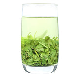 250g Xinyang Maojian Downy Tip Spring Tea Chinese Green Tea