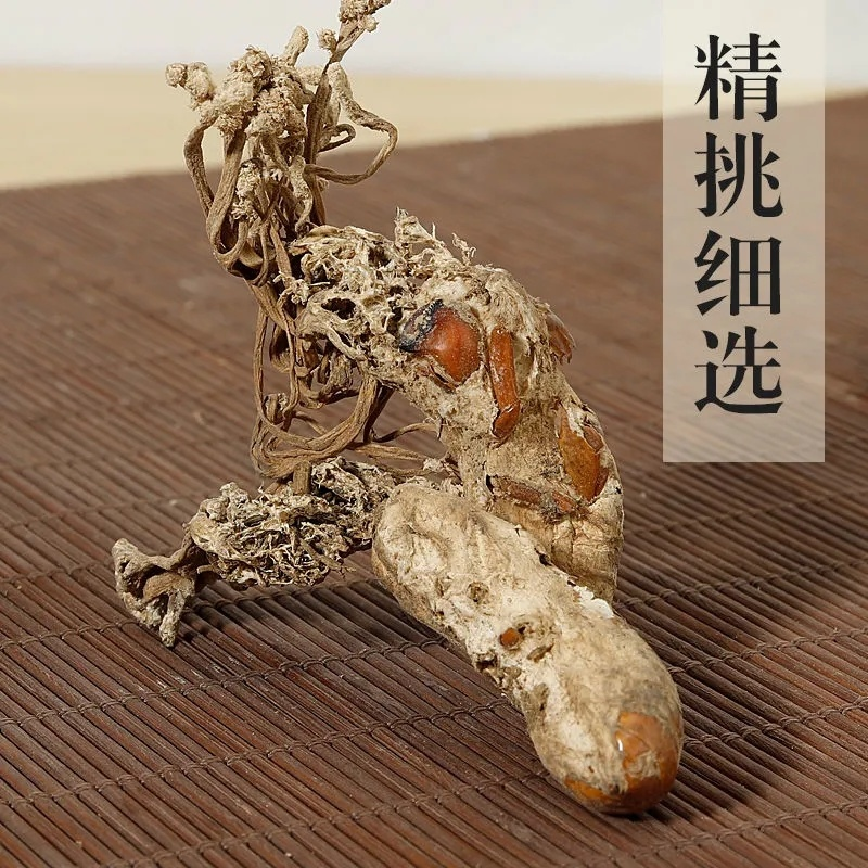 100g Golden Cicada Flower Isaria cicadae Miq Big Cordyceps Sinensis 金蝉花 大虫草 Secondary image