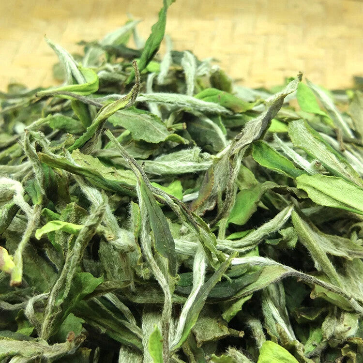 CIFbuy 1000g FuDing High Mountain Bai Mu Dan White Tea Aged White Peony Pai Mu Tan tea