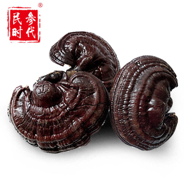 Wild Lingzhi Organic Reishi Mushroom Immortality 500g Purple Ganoderma Lucidum