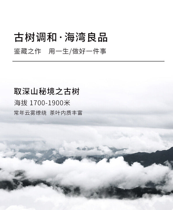 Liang Zai Pin * Yunnan Pu'er Haiwan Old Comrade Old Tree Raw Puerh Tea 400g