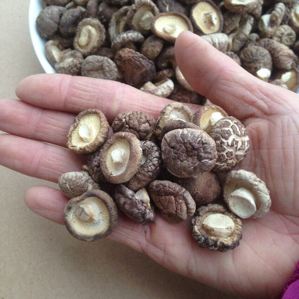 Dried Shiitake Mushrooms Wooden Organic Kitchen Health Green Food Natural Fungus