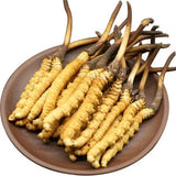 Top-quality Wild Cordyceps Sinensis From High Himalaya China Tibet 10-15 Pcs