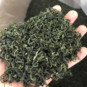 Chinese High Mountain BiLuoChun Organic Bi Luo Chun Green Snail Spring Tea 250g Main image