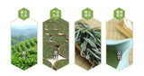 300g Organic Fuding Gong Mei Tribute Eyebrow High Mountain White Tea Shou Mei