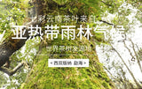 200g   Fermented Tea  Ancient Tree Ripe Pu' Er Tea Menghai Puer Tea