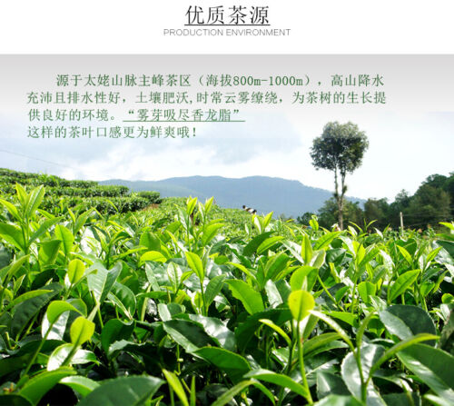 300g Organic Fuding Gong Mei Tribute Eyebrow High Mountain White Tea Shou Mei