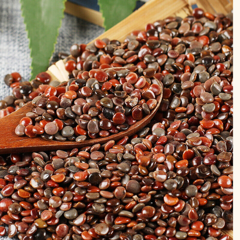 Chinese Specialty Zhijuzi Chinese Organic Herbs High Quality 250g/500g 枳椇子