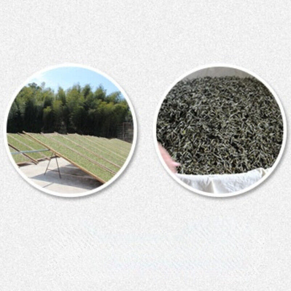 Fuding White Tea Weight Loss Healthy Drink Loose Leaf Old White Tea 500g