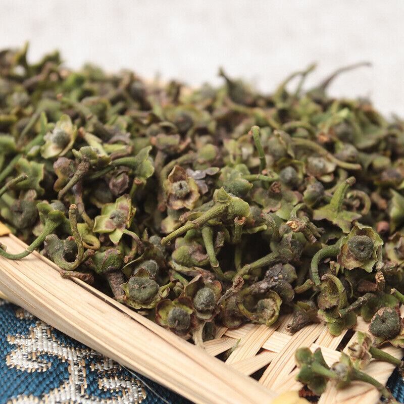 Tea Seed Bulk High Mountain Tea Fuding White Tea Tree National White Tea 500g