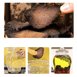 Organic Men's Health Herb Tea Cistanche Slice Rou Cong Rong Dijing Tubulosa 250g