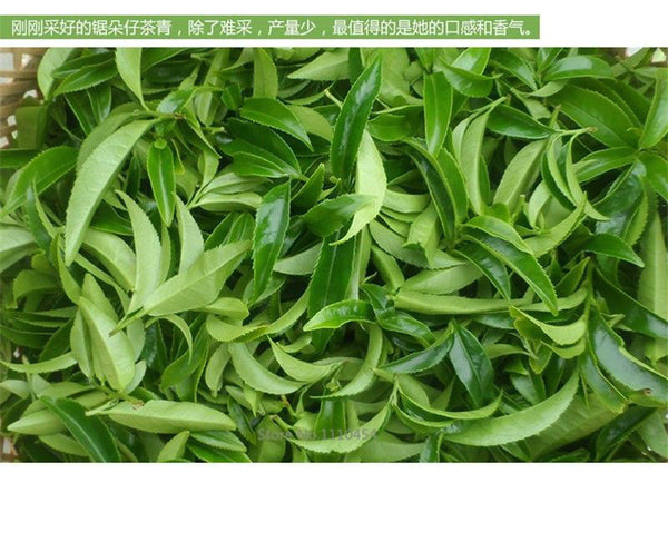 TemuTea 250g New Spring Grade Phoenix Single Longitudinal Tea 100% Natural Health Care Dancong Tea