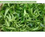 250g New Spring Grade Phoenix Single Longitudinal Tea 100% Natural Health Care Dancong Tea