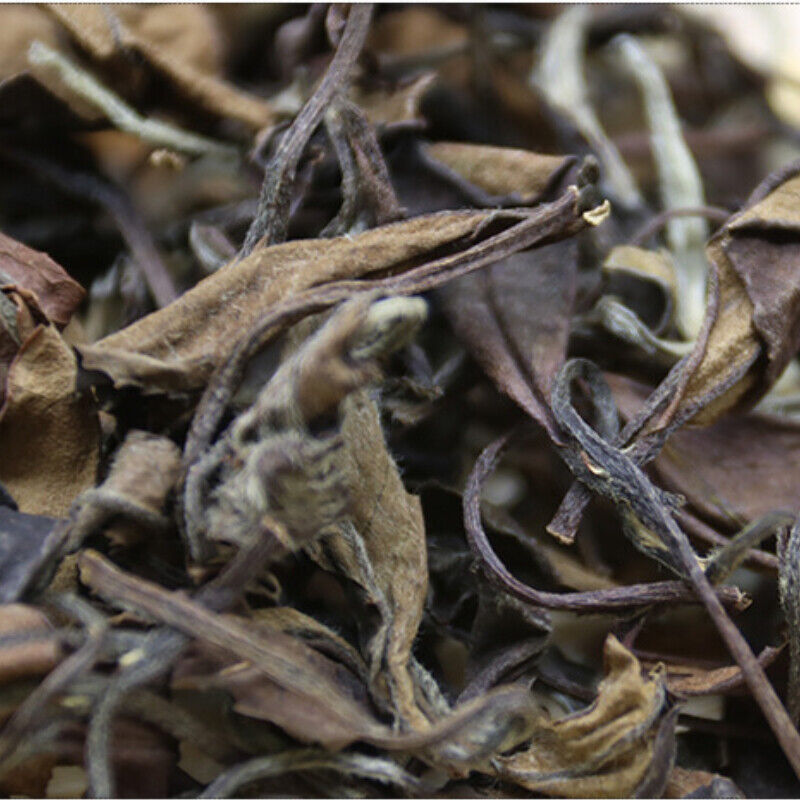 Health Care Shoumei Gaoshan Bulk Date Aroma White Tea Fuding White Tea 500g