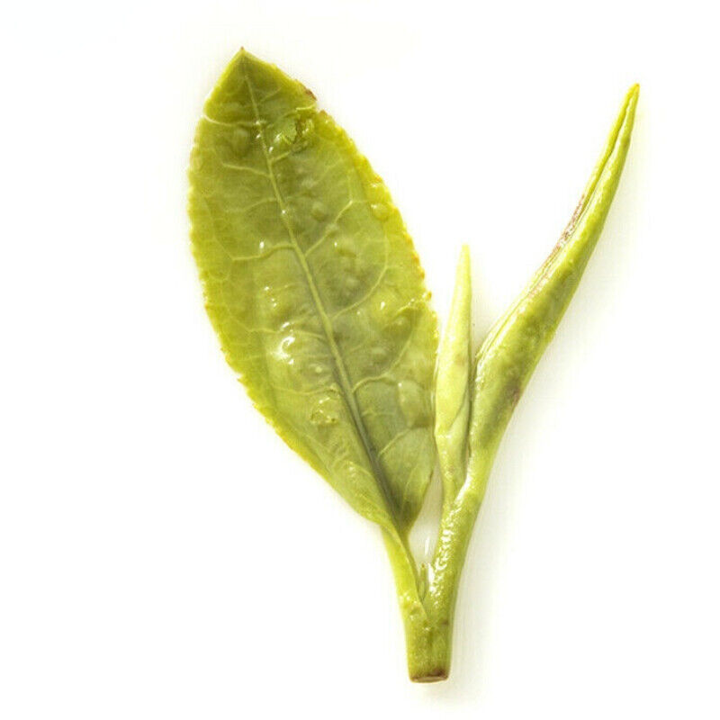 Weight Loss New Gift Package Longjing Tea Fragrant Green Tea Loose Leaf Tea 200g