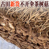 Chinese Herbal Agrocybe Cylindracea New Premium Dried Tree Mushroom 250g/bag