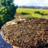 Original Old Tree Pu'er Tea Cake Healthy Drink Yiwu Gong Cake Pu'er Tea 357g