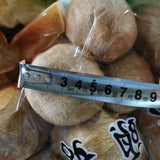 Premium Lions Mane Mushroom Hericium Erinsceus Mushroom Chinese Dried Goods 250g