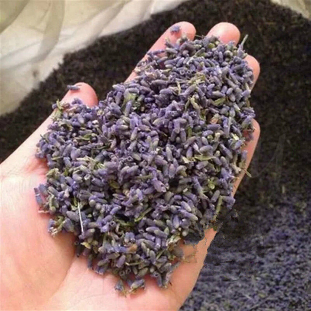 Floral China Bloom Herbal Tea Gift Good for Sleep Lavender Dried Flower Tea 50g