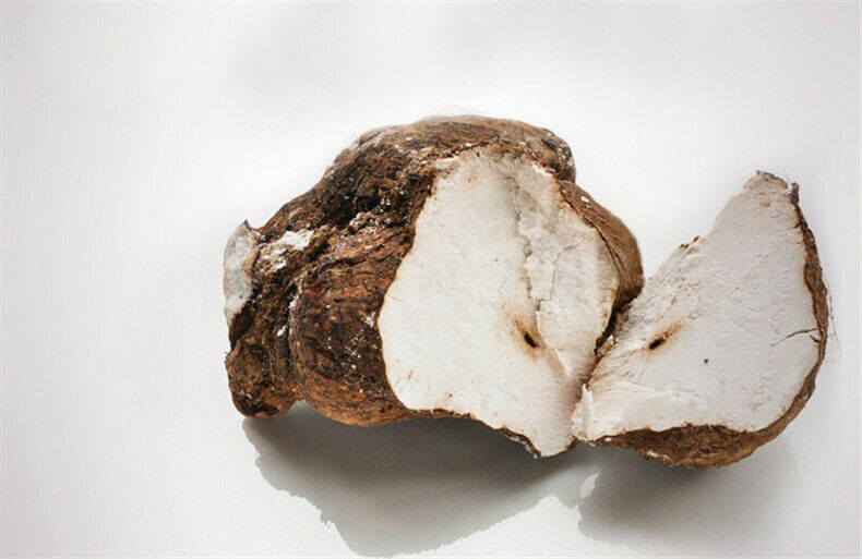 Nature Organic Traditional Herbs Poria Cocos Fuling Tuckahoe ExtractPowder Pure Secondary image