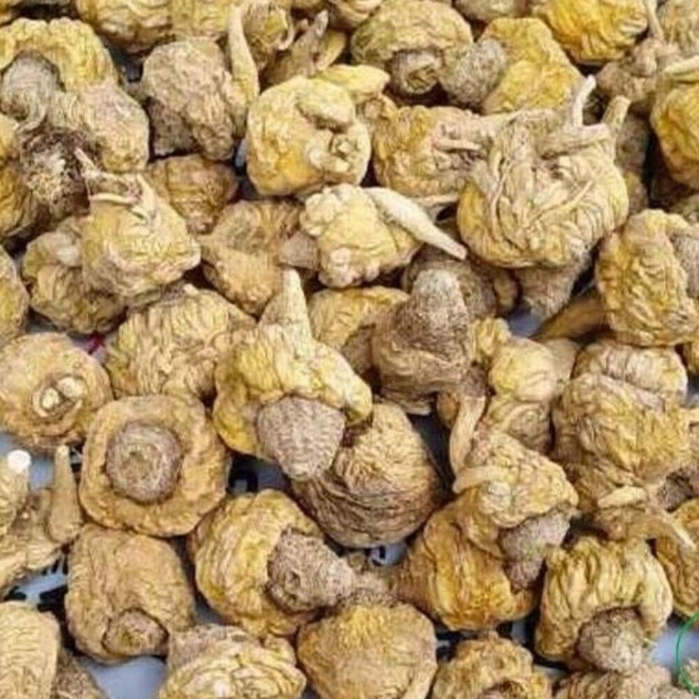 Wild Dried Maca 100% Green Food Maca Root Herbs Tea Chinese Herbal Medicine 250g Main image