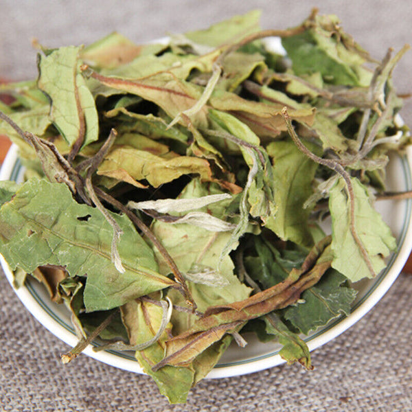 Organic Loose Leaf White Tea White Tea Top Yunnan Big Leaf Honey Flavour 500g