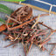 Chinese Specialty Original Natural Herbal Zaojiaoci 250g /500g 皂角刺
