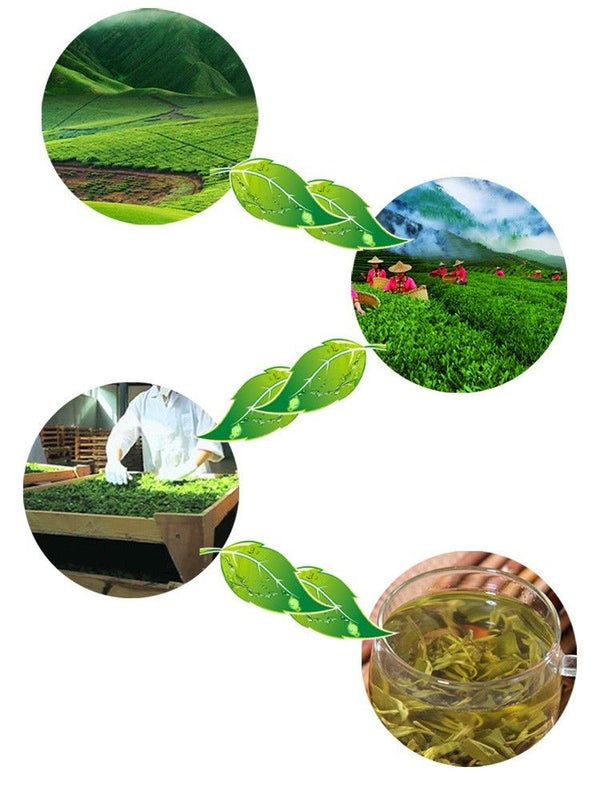 TemuTea 250g Canned Dongting Biluochun Tea Fragrant Spring Green Biluochun Spring Tea碧螺春