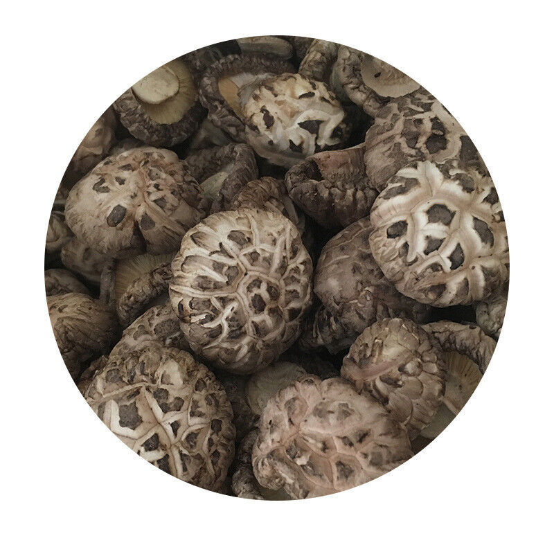 Premium Dried Tea Flower Mushroom Chinese Herbal Edible Fungi Bag Package 250g