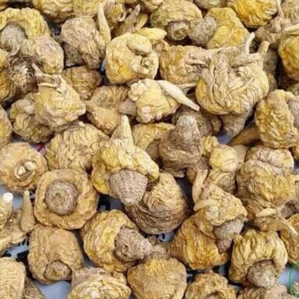 Medicine Maca Root Herbs Tea 100% Natural Wild Dried Maca Chinese Herbal 250g