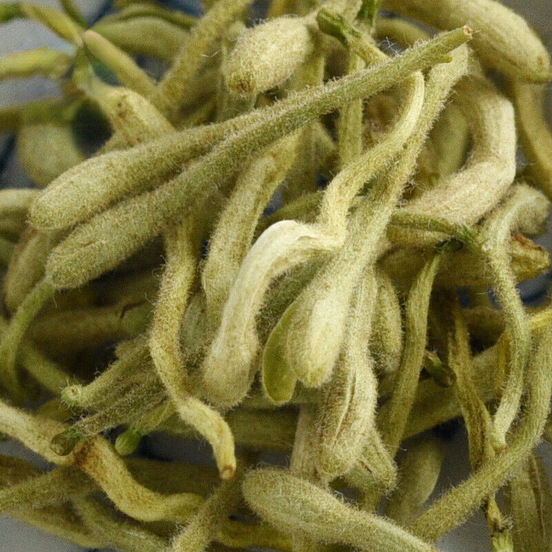 Organic Honeysuckle - Loose Buds Tea Natural Jin Yin Hua Ecology Loose Leaf Tea