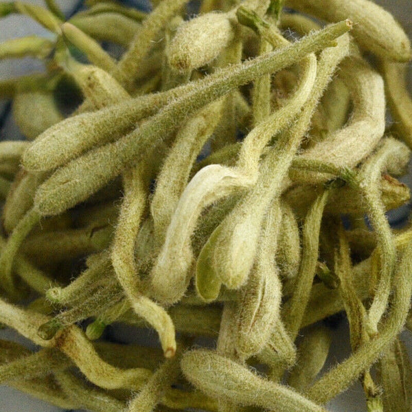 Organic Honeysuckle - Loose Buds Tea Natural Jin Yin Hua Ecology Loose Leaf Tea