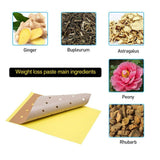 瘦身贴 快速燃烧脂肪 减脂产品 塑形膏 Shou Shen Tie Kuai Su Ran Shao Zhi Fang Jian Zhi Chan Pin