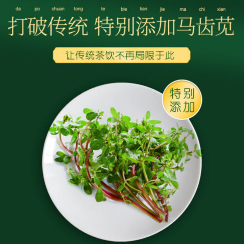 北京同仁堂 菊苣马齿苋茶栀子茶Juju Machixian tea 薏苡仁 甘草山楂桔梗百合排酸降尿酸茶天然健康natural healthy herb tea