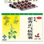 SHENWEI huoxiang zhengqi ruanjiaonang 24粒 神威藿香正气软胶囊
