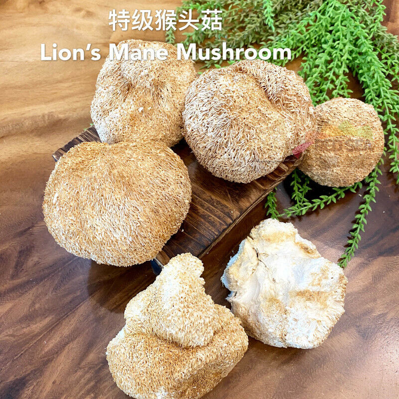 Premium Lions Mane Mushroom Hericium Erinsceus Mushroom Chinese Dried Goods 250g Secondary image